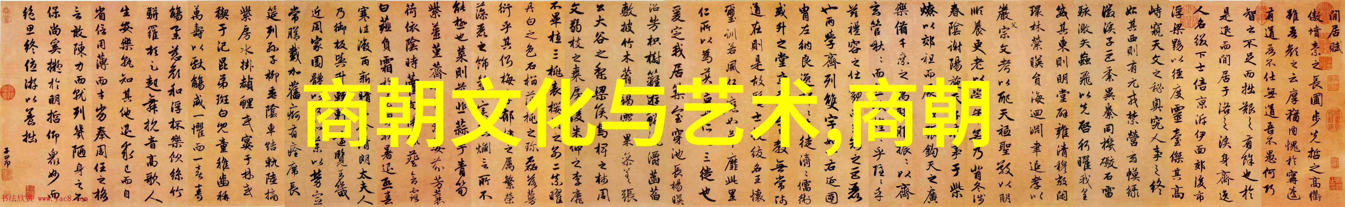 沉默的幽禁夜明珠朝的神秘面纱
