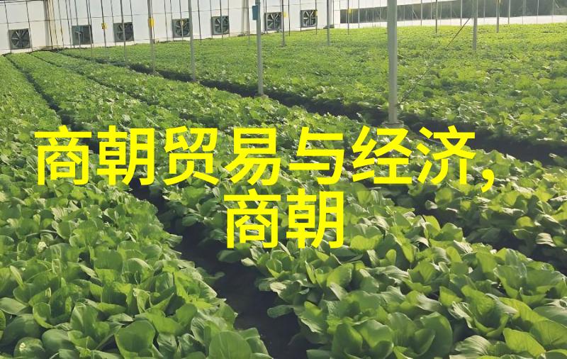乾隆盛世权力巅峰与无人争锋的历史之谜