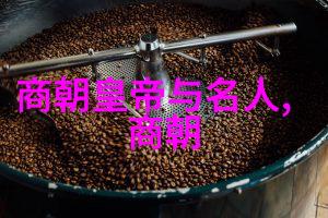 明末抗清十大名将历史上的英雄人物抗击清军的勇士