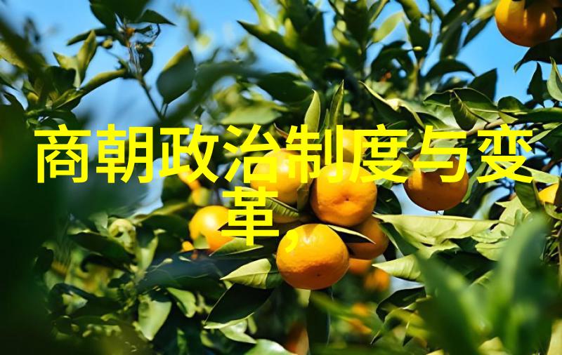 明朝历史探秘揭秘古人如何观看视频