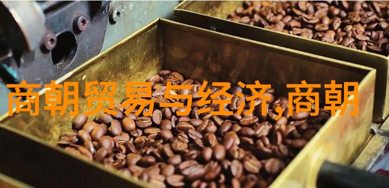 明朝的阴谋与诡计权力斗争中的奇迹与悲剧