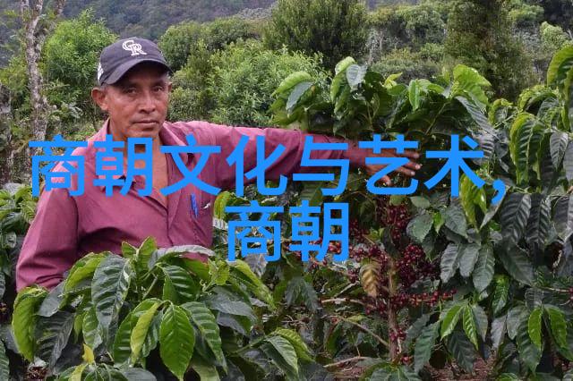 哪位历史人物最欠扁霍伦赫布的复杂面纱