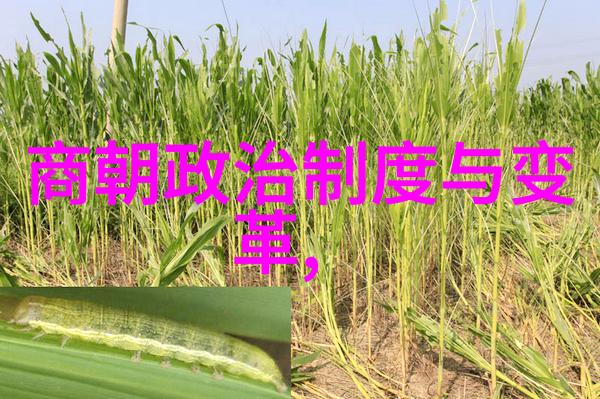明朝三杰的传奇故事与历史地位