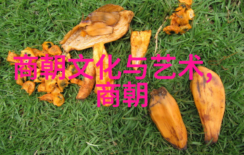 博果尔之母比孝庄尊贵的传奇身份