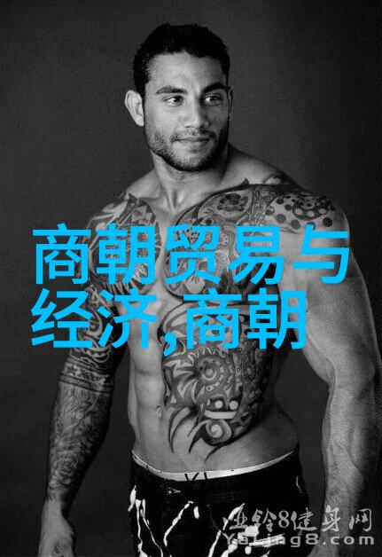 明朝覆灭从甲申之变到南明遗民的悲剧