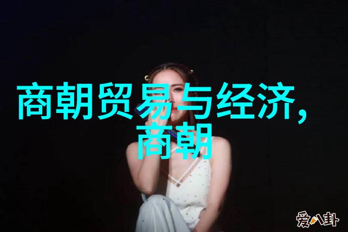 宋朝在处理与周边民族关系方面采取了哪些策略效果如何