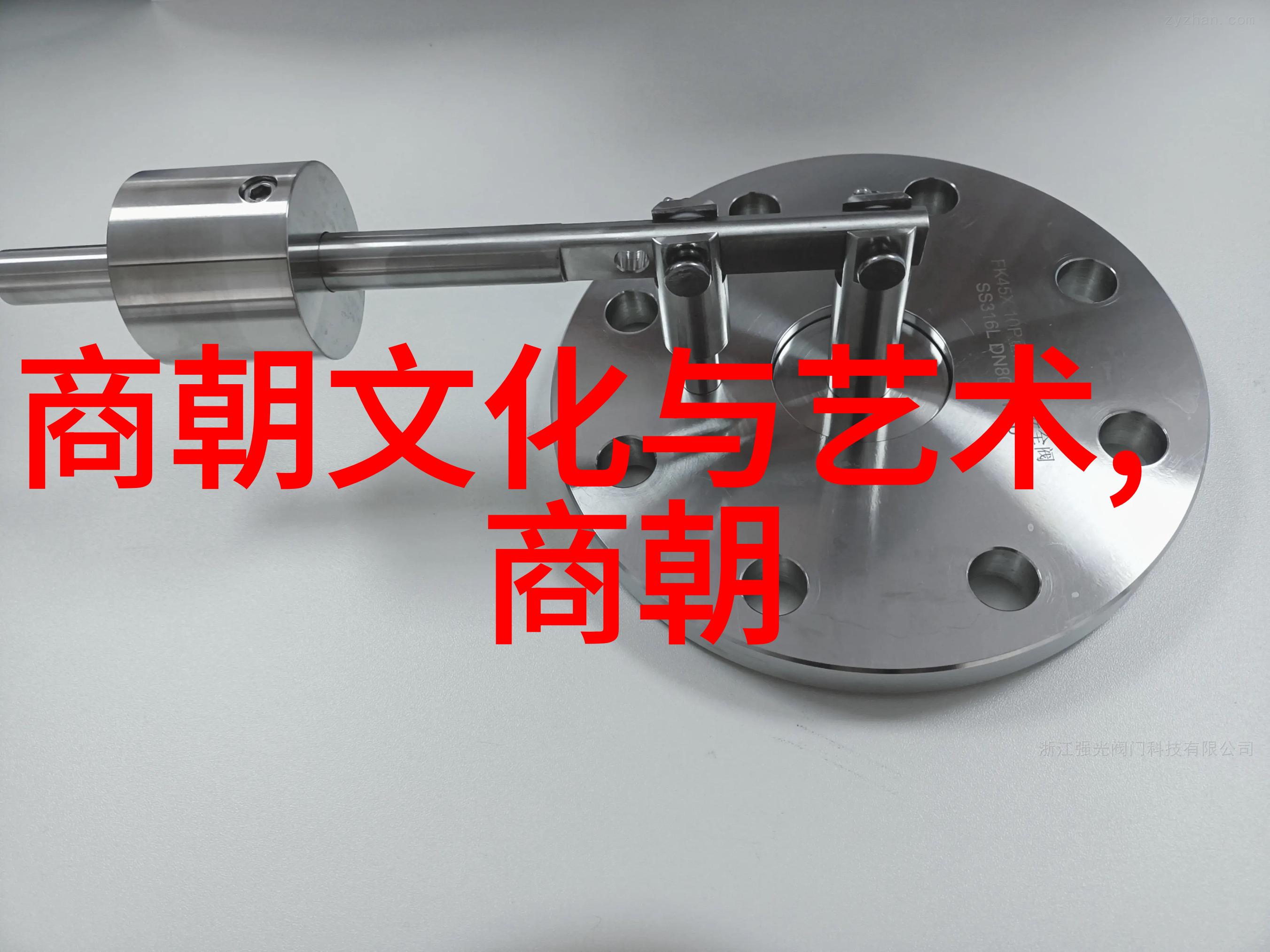 春秋人物排名100人中骊姬的位置又在哪里