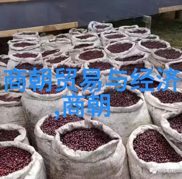 历朝辉煌中国历史上各朝代的兴衰盛衰排列表