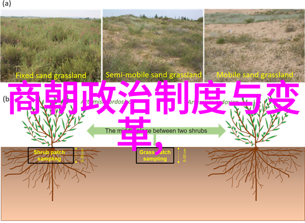 全国公安系统一级英模张保国铁血忠魂军衔铭心
