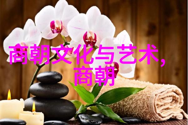 明朝那些事儿出版年份探秘揭开历史小说的故事时间轴