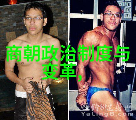 宋朝历史app我在宋朝的日子揭秘那些隐藏的趣事