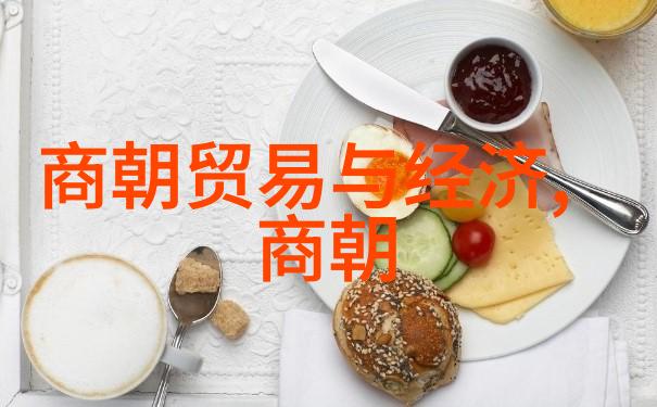 明朝历史解说中国封建社会的辉煌与衰落
