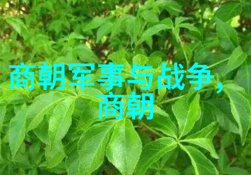 元朝的重大历史事件忽必烈称帝元朝统一中国忽必烈遣使至欧洲
