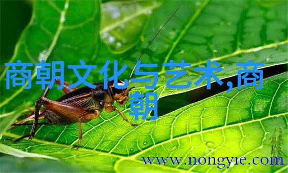 土木堡之战-血染疆土重温历史上的那场悲剧