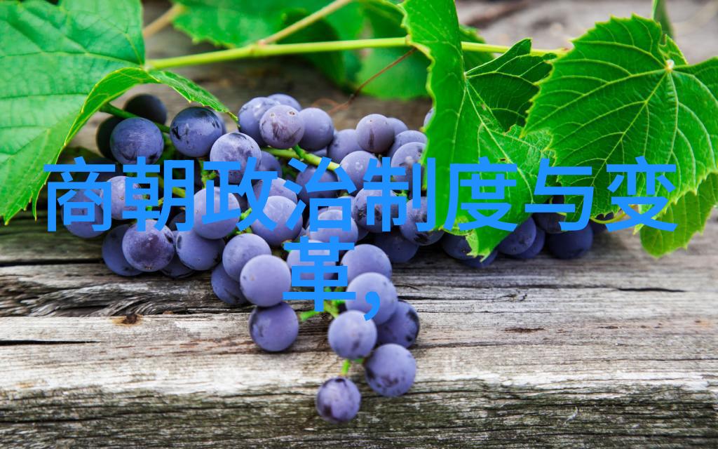 明朝历史的千丝万缕揭秘那些令人迷惑的诡异事件