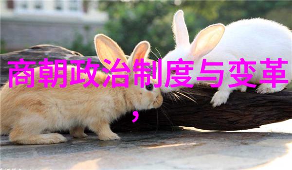 万历十五年明朝的巅峰与衰落