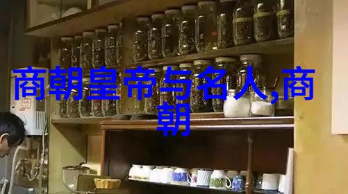 冰山上的囚犯阿列克谢托洛茨基流亡生活的秘密篇章