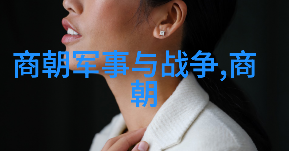 辉煌的帝梦从朱元璋到朱允时的盛世变迁