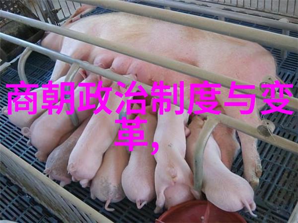 40种生活小确幸一系列心动瞬间图片分享