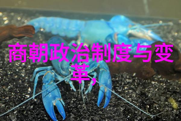 王根发书法线上教学平台在社会普及新兴教育模式