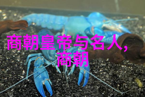 明朝的盛世之谜如何解开这段辉煌历史的奥秘