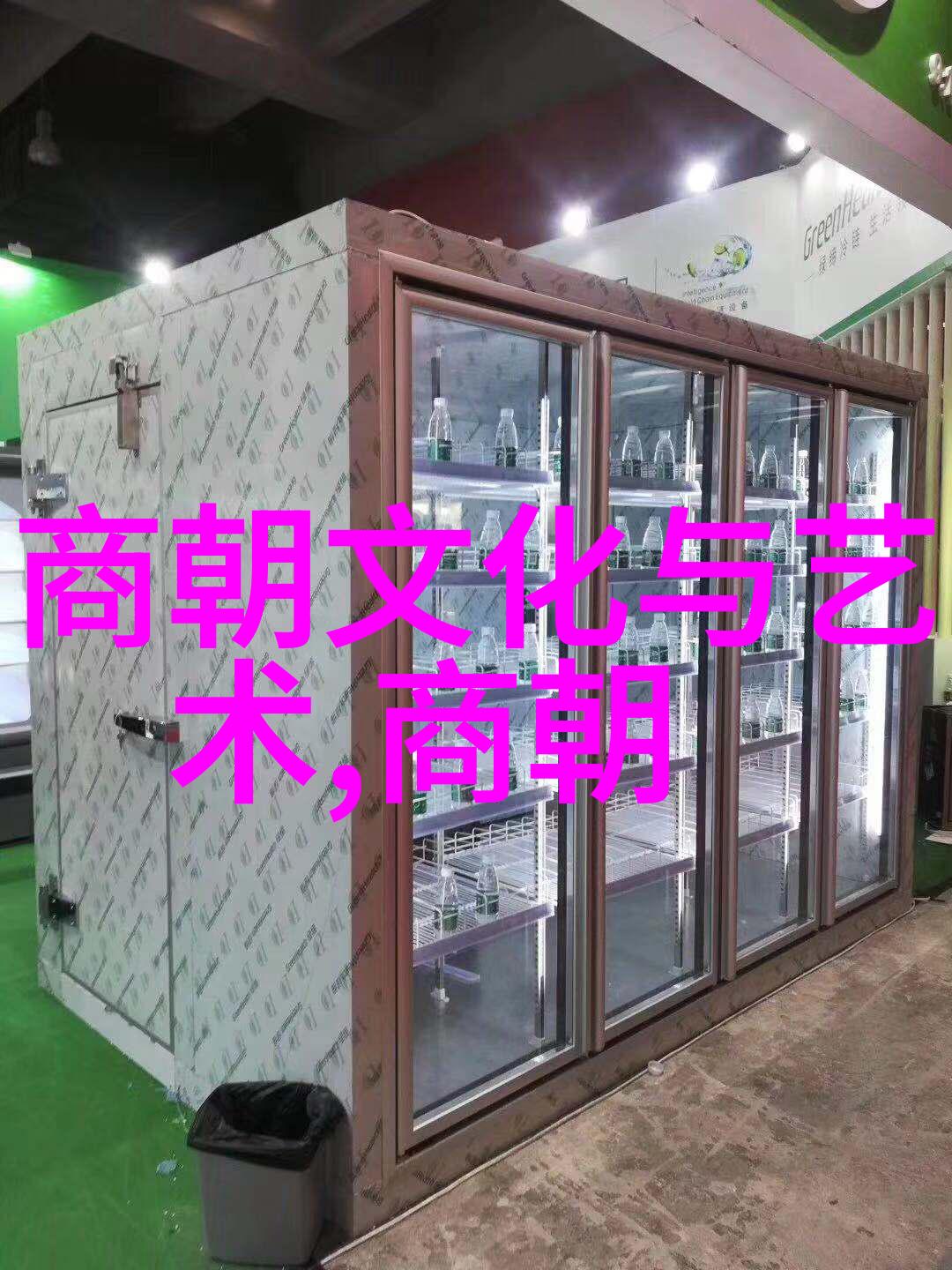 地理探索-明朝历史地图揭秘古都繁荣与边疆辽阔