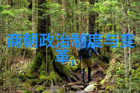 古代皇帝用什么标准来选拔和晋升自己的宠臣或重要顾问呢