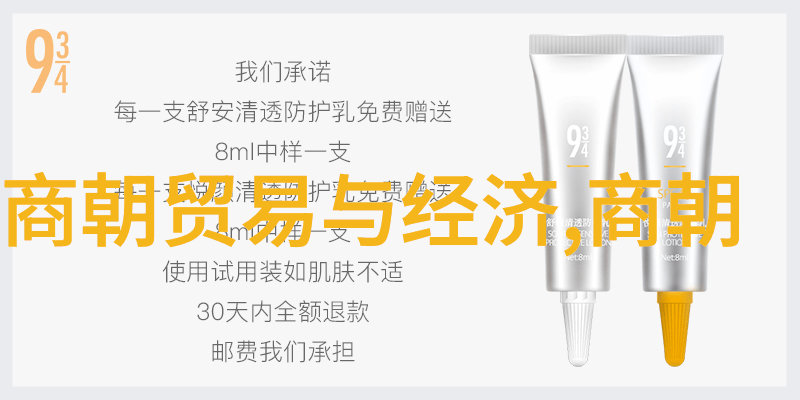 宋朝的辉煌专家们为何赞誉不已