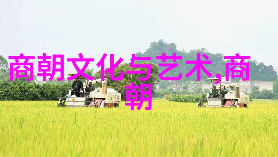 中国的五千年辉煌历史源远流长的文明传承