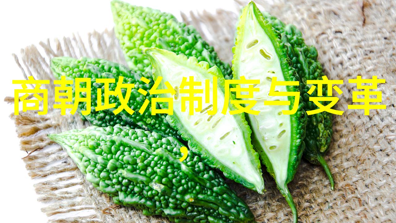 南明时期监国大臣是如何选择的他们又扮演了什么角色
