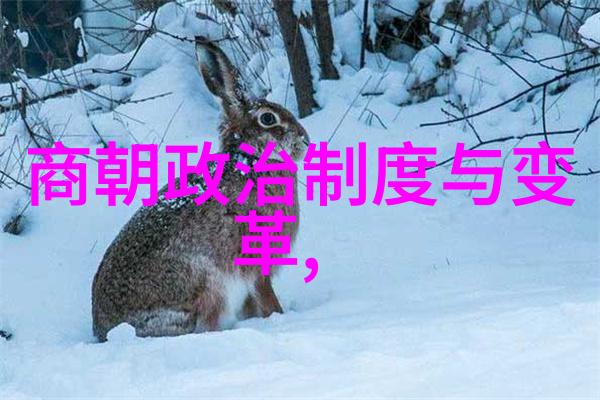 明朝风华录历史长卷的抽象织梦