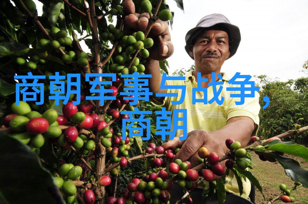 圆圆的故事温暖人心的成长历程
