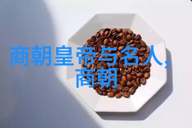 明朝历史的辉煌与衰落一览清晰的朝代排名顺序