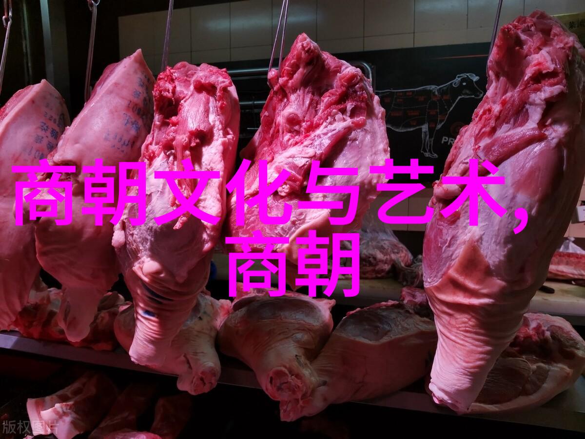 金石烛影探秘元朝科举的辉煌与沉浮