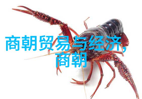 梦想森林里的100个星光故事
