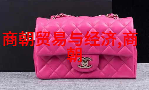 明朝历代帝王龙腾四海的辉煌与沉浮