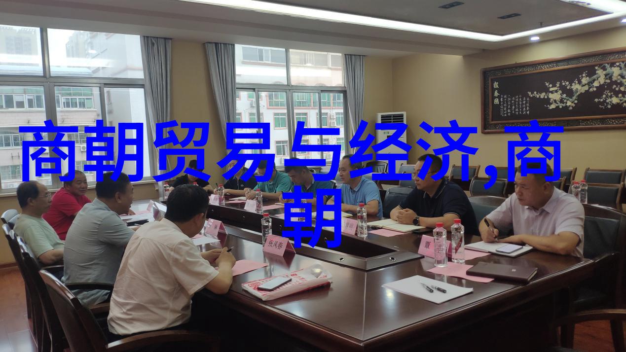 李新民后西辽的浪漫征途