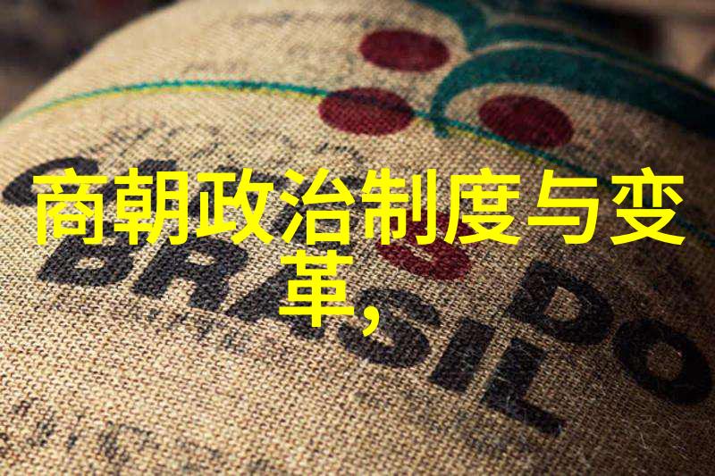 杨式太极拳如吴越国的流金泪黄丹英挥洒