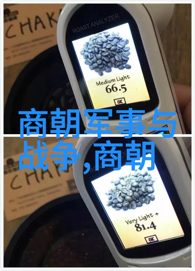 南宋被金军攻破后南宋皇帝如何选择了临安作为新的都城