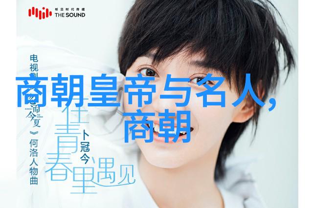 宋朝发生的著名事件我看过的那些惊心动魄的岁月