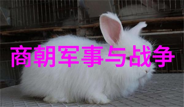 商汤的真名叫什么商汤是如何建立商朝的