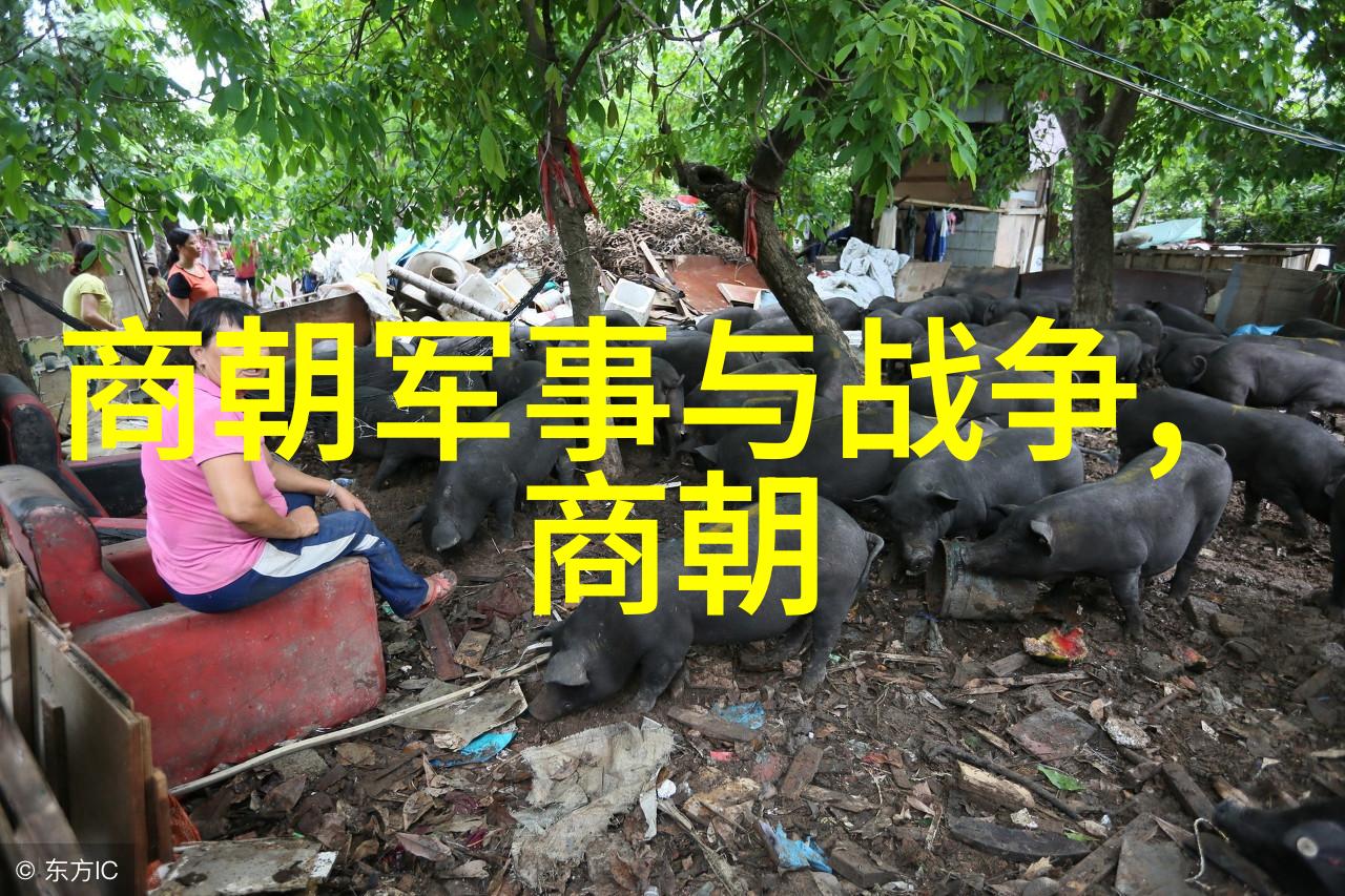 元朝疆域辽阔探秘大元版图