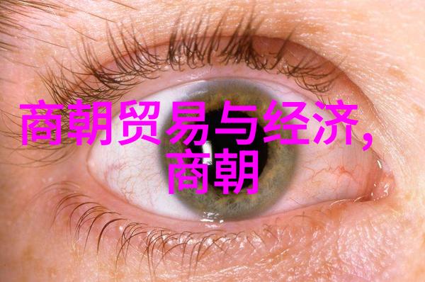 明朝帝王之谜岁月中的真假皇帝