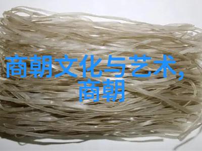 清明比较探究清朝与明朝的科技文化与经济发展差距