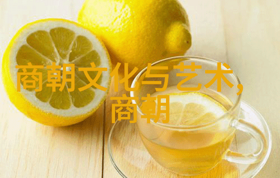 明朝的辉煌与挑战强国梦的实现与衰落