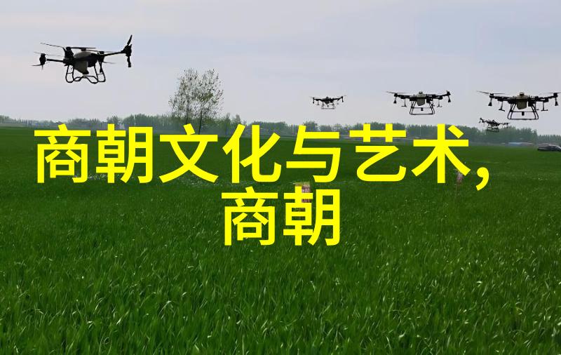 中国历史上的衰落之朝中国最弱的三个朝代
