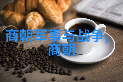 明清交替如何看待明末动荡与清初稳固