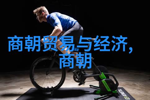 宋朝国际格局探究多元国家体系的构建与演变