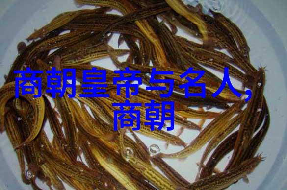 历史有多少个朝代-追溯时光揭秘中国古代的朝代变迁