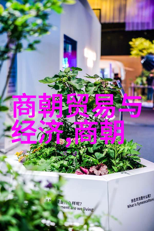 战云涌动明朝十大征战的历史篇章